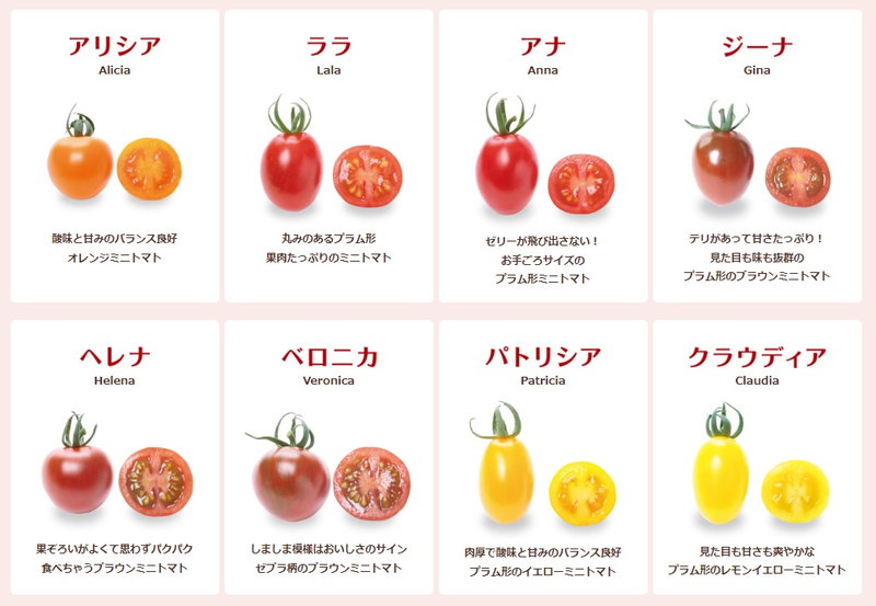 シーグラスアート ミニトマトの収穫♡ - アート/写真